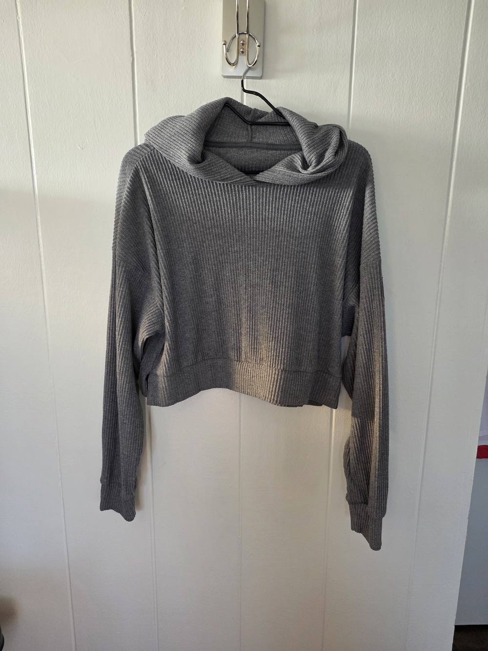 Alo Muse Hoodie Size Small EUC